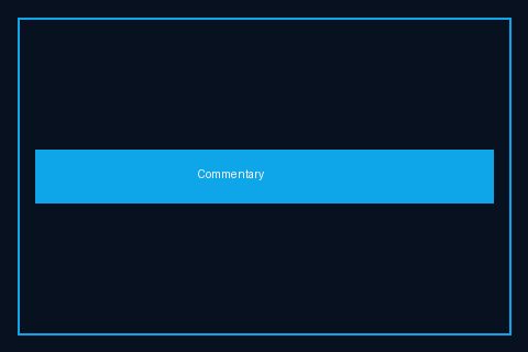 Expert market commentary